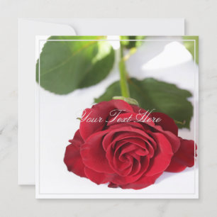 Beautiful Red Rose Your Text Flat Card