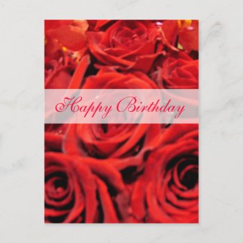 Beautiful Red Roses Happy Birthday Postcard by DonnaGrayson_Photos at Zazzle
