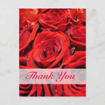 Beautiful Red Roses Thank You Postcard by DonnaGrayson_Photos at Zazzle