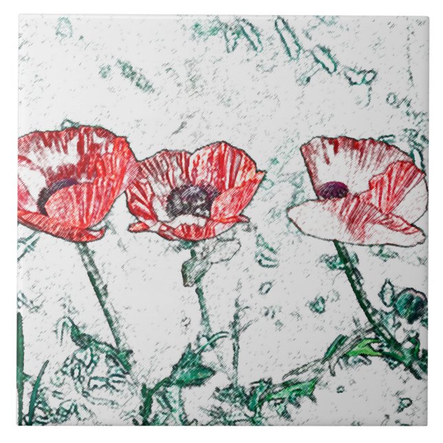 Beautiful Red Three Poppy Flowers Sketch Ceramic Tile (Front)