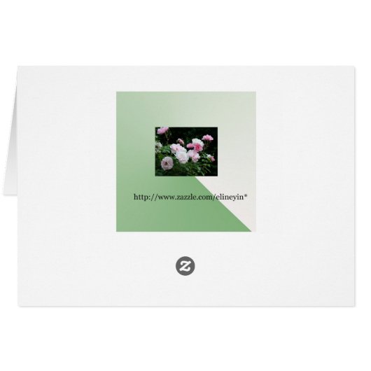 Beautiful Red Tulip Flowers. (Back Horizontal)