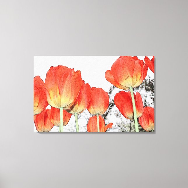 beautiful red tulip flowers canvas print (Front)