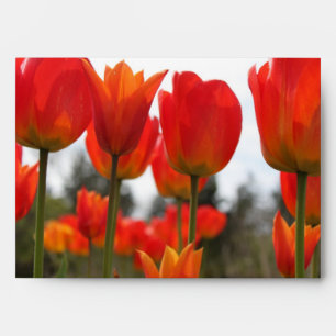 Beautiful Red Tulip Flowers. Envelope