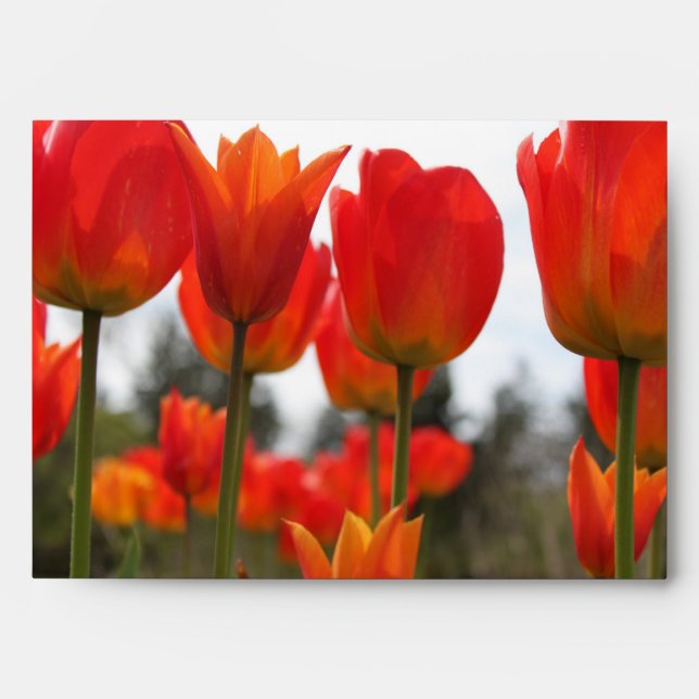 Beautiful Red Tulip Flowers. Envelope (Front)