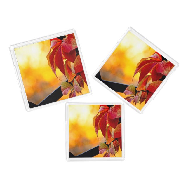 Beautiful red vine leaves in the autumn garden acrylic tray (Set)