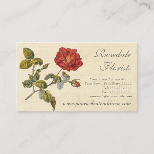 Beautiful Red Vintage Rose Old Fashioned Business Cards