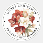 Beautiful Red &amp; White Amaryllis Merry Christmas  Classic Round Sticker