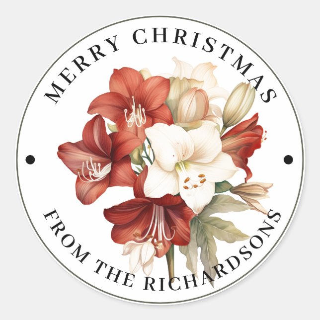 Beautiful Red & White Amaryllis Merry Christmas  Classic Round Sticker (Front)