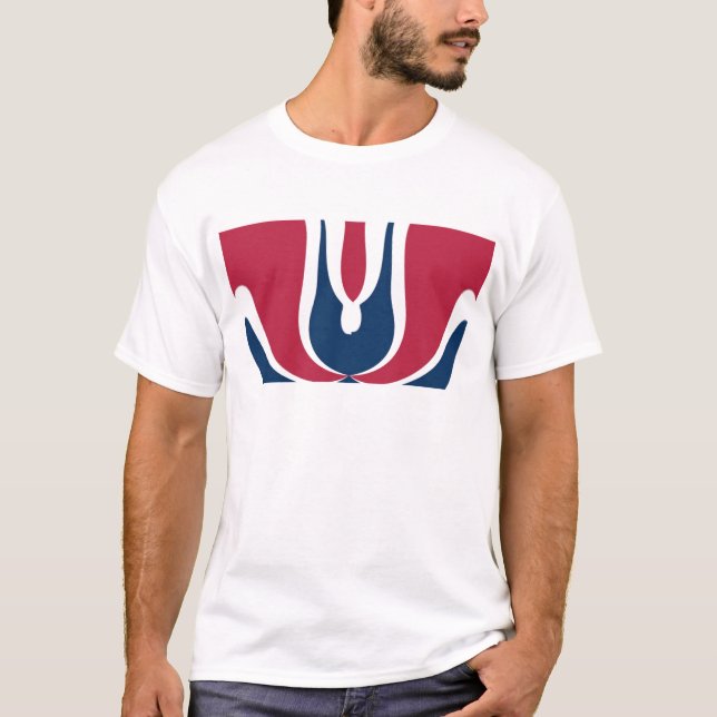 Beautiful Red, White, Blue Texture Color Abstract  T-Shirt (Front)