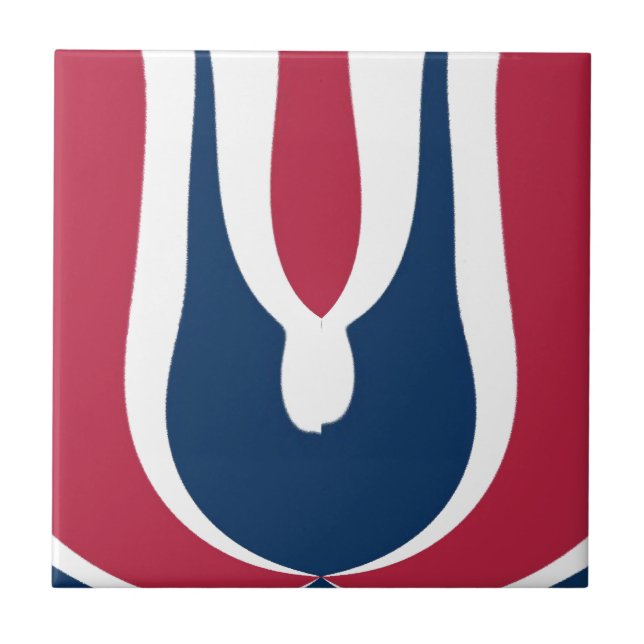 Beautiful Red, White, Blue Texture Color Abstract  Tile (Front)