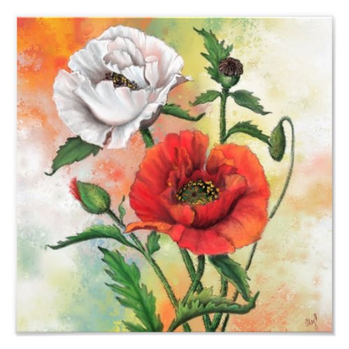 Beautiful Red White Poppies _ Migned Painting Art Photo Print