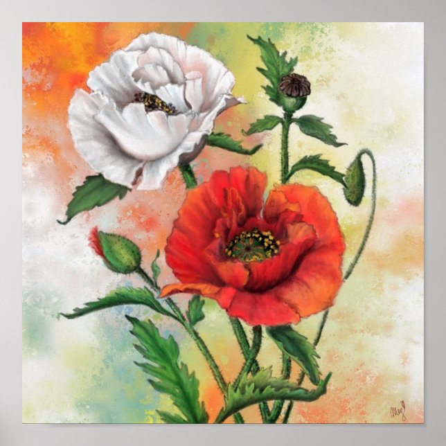 Beautiful Red White Poppy Poster Painting (Front)