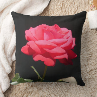 Beautiful Redish Pink Rose Close Up Pillow