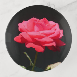 Beautiful Redish Pink Rose Close Up Trinket Tray