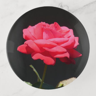 Beautiful Redish Pink Rose Close Up Trinket Tray