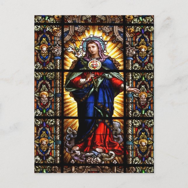 Beautiful Religious Sacred Heart of Virgin Mary Postcard (Front)