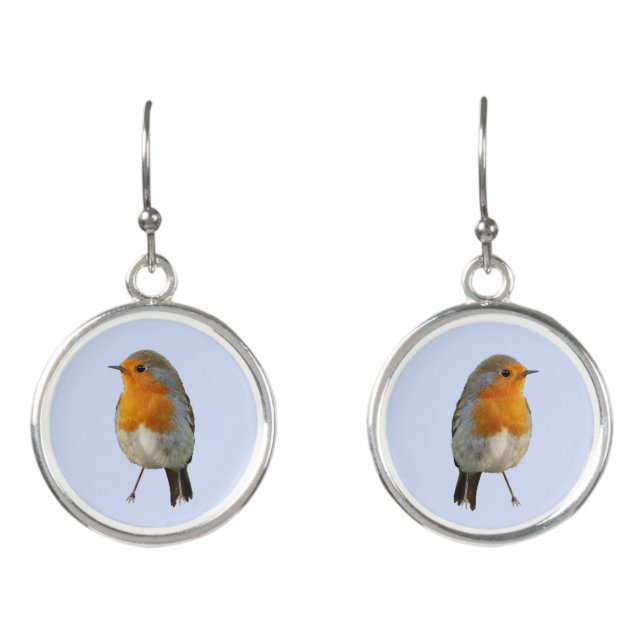 Beautiful Robin Bird on Light Blue Earrings (Front)