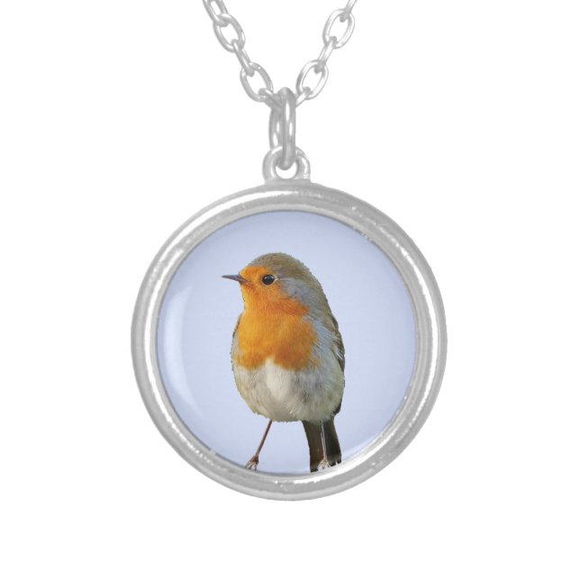 Beautiful Robin Bird on Light Blue Silver Plated Necklace (Front)