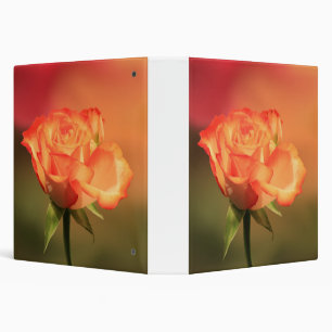 Beautiful Romantic Rose Photograph 3 Ring Binder