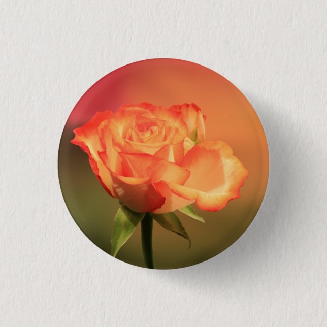 Beautiful Romantic Rose Photograph Button (Front)