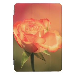 Beautiful Romantic Rose Photograph iPad Pro Cover