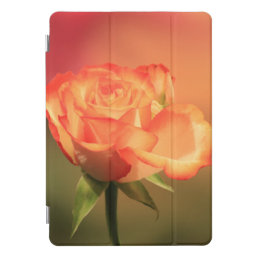 Beautiful Romantic Rose Photograph iPad Pro Cover
