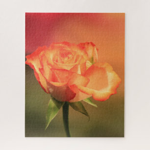 Beautiful Romantic Rose Photograph Jigsaw Puzzle