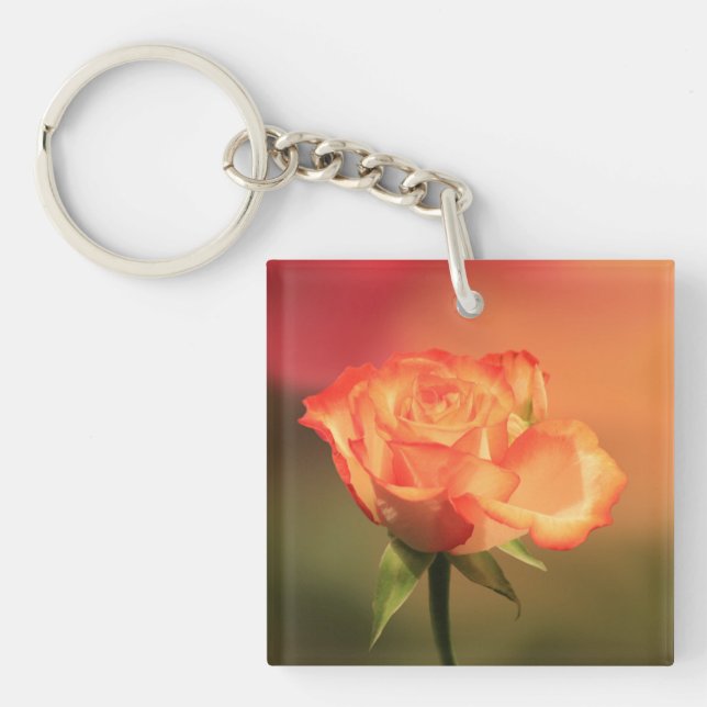 Beautiful Romantic Rose Photograph Keychain (Front)