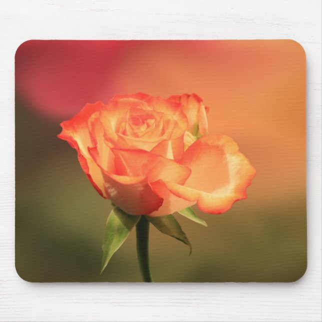 Beautiful Romantic Rose Photograph Mouse Pad (Front)