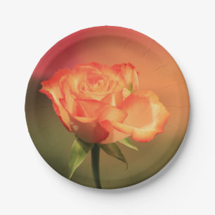Beautiful Romantic Rose Photograph Paper Plates