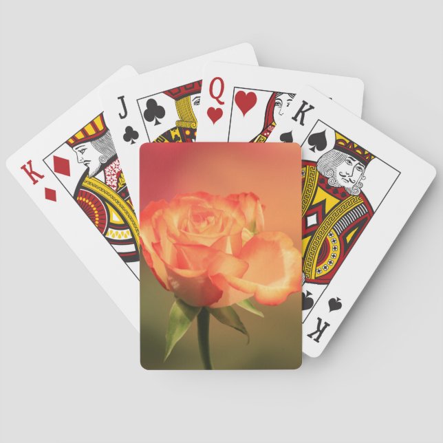 Beautiful Romantic Rose Photograph Poker Cards (Back)