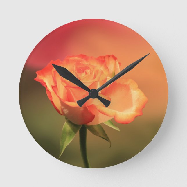 Beautiful Romantic Rose Photograph Round Clock (Front)