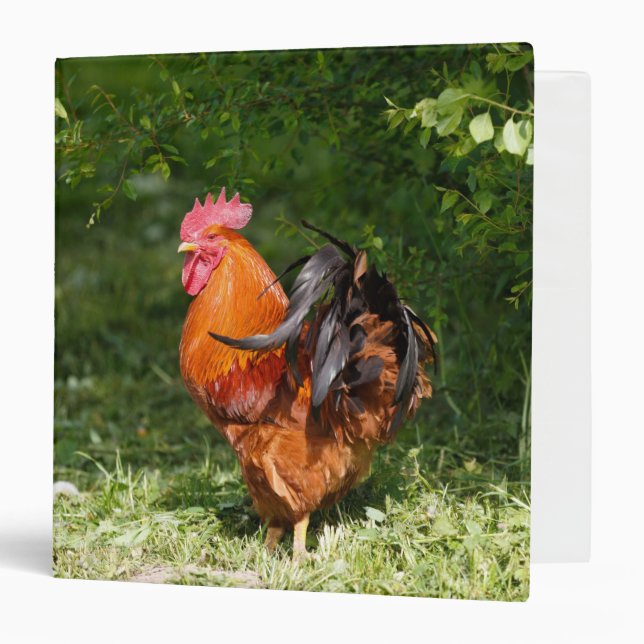 Beautiful Rooster 3 Ring Binder (Front/Inside)
