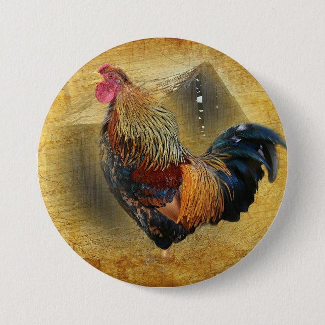 Beautiful Rooster and Rustic Barn Chicken Coop Button (Front)