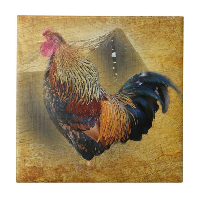 Beautiful Rooster and Rustic Barn Chicken Coop Ceramic Tile (Front)