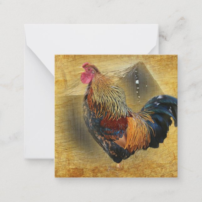 Beautiful Rooster and Rustic Barn Chicken Coop Note Card (Front)