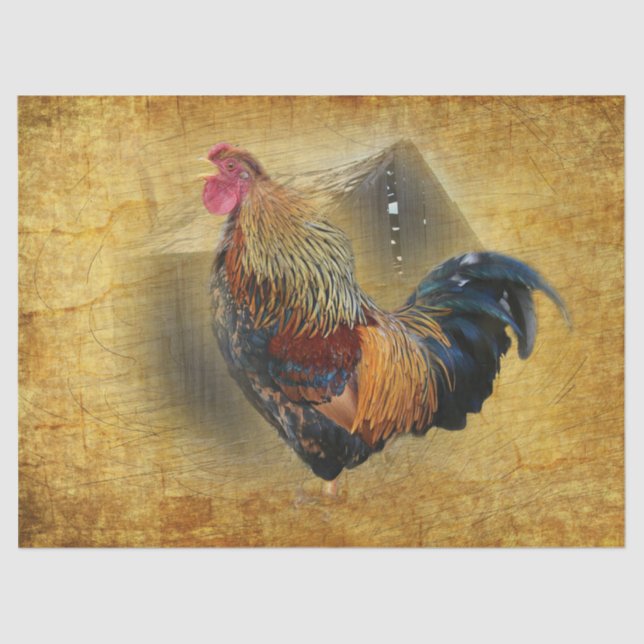 Beautiful Rooster and Rustic Barn Chicken Coop Tissue Paper (Front)