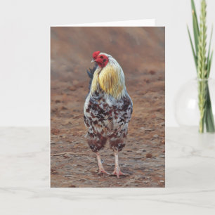 Beautiful Rooster Chicken Art Note Card