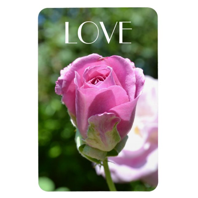 Beautiful Rose Bud Love Magnet (Vertical)