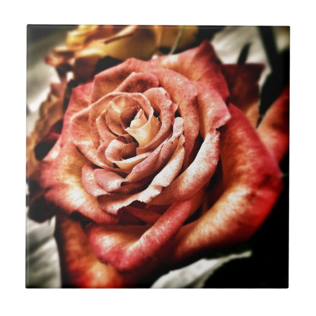 Beautiful Rose Ceramic Tile (Front)