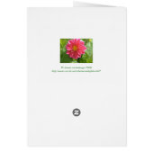 Beautiful Rose-Colored Dahlia Cards (Back)