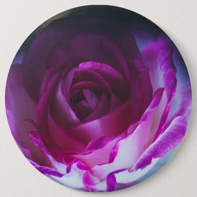 Beautiful rose flower button (Front)