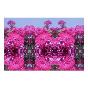 Beautiful Rose Flower Poster