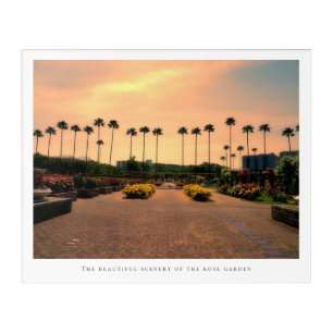 Beautiful Rose Garden Acrylic Print