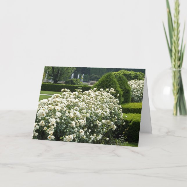 Beautiful Rose Garden Floral Photo Custom Card (Front)