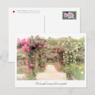 Beautiful Rose Garden Postcard