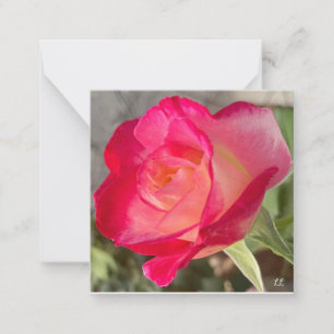 Beautiful Rose Note Card