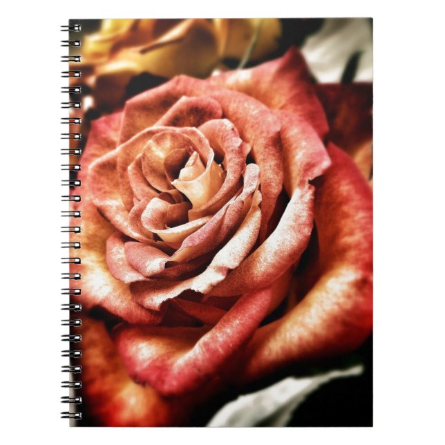 Beautiful Rose Notebook (Front)