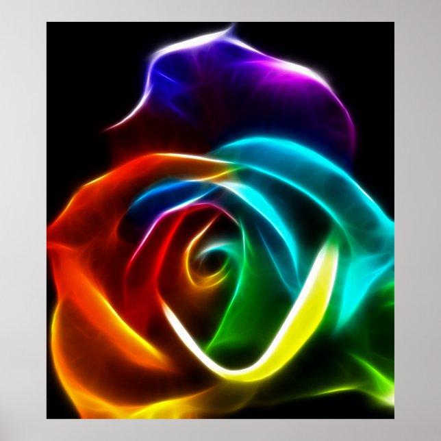 Beautiful Rose of Colors No3 Poster (Front)
