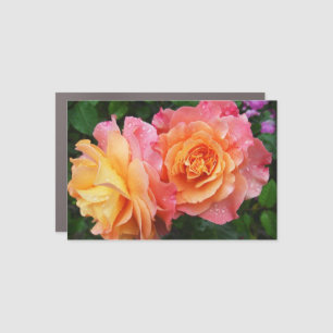 beautiful rose photo car magnet